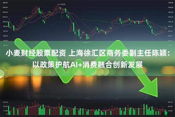 小麦财经股票配资 上海徐汇区商务委副主任陈颖：以政策护航AI+消费融合创新发展